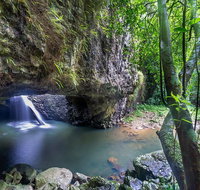 Springbrook andTamborine Rainforest Tour Incl Natural Bridge and Glow Worm Cave - eAccommodation