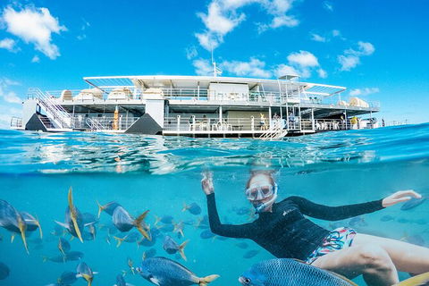 2-Day Great Barrier Reef Reefsleep Experience - eAccommodation 8