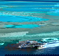 Great Barrier Reef Day Cruise to Reefworld - eAccommodation