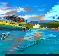 Ocean Rafting Tour to Whitehaven Beach Hill Inlet Lookout  Top Snorkel Spots - eAccommodation