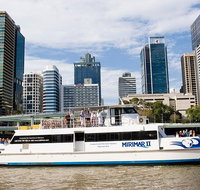 Lone Pine Koala Sanctuary Admission with Brisbane River Cruise - eAccommodation