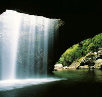 World Heritage Springbrook National Park Tour Including Natural Bridge - eAccommodation
