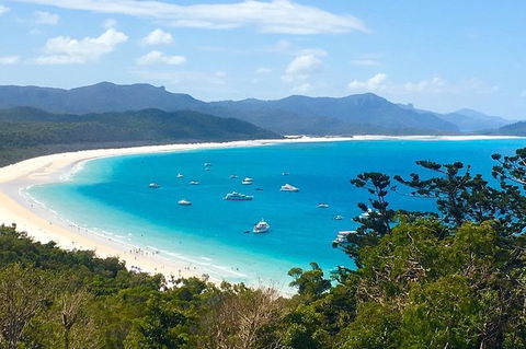 Whitehaven Beach And Hill Inlet | Awesome Beach BBQ | Family Friendly - eAccommodation 7