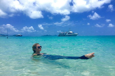Whitehaven Beach And Hill Inlet | Awesome Beach BBQ | Family Friendly - eAccommodation 3