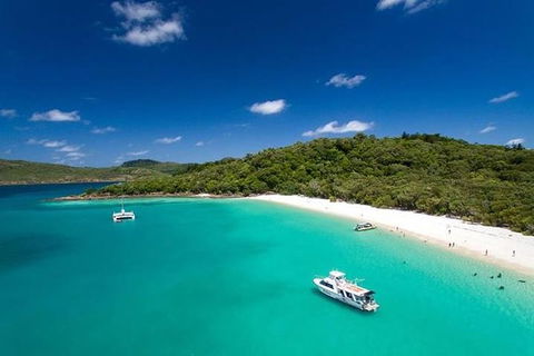 Whitehaven Beach And Hill Inlet | Awesome Beach BBQ | Family Friendly - eAccommodation 10