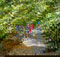 Whitsunday Segway Rainforest Discovery Tour - eAccommodation
