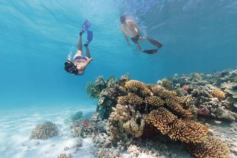 5-Day Fraser Island And Great Barrier Reef Tour - eAccommodation 1