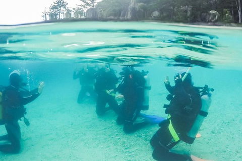 3 Day Whitsundays Sailing And Diving Adventure: Kiana - eAccommodation 12