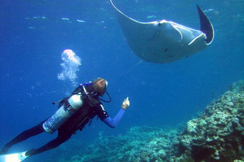 3 Day Whitsundays Sailing And Diving Adventure: Kiana - eAccommodation 9