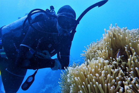 3 Day Whitsundays Sailing And Diving Adventure: Kiana - eAccommodation 3