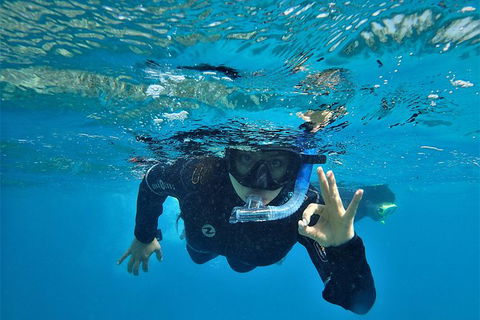 3 Day Whitsundays Sailing And Diving Adventure: Kiana - eAccommodation 11