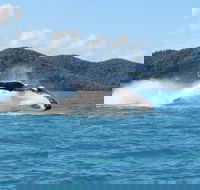 Whitsundays Whale Watching Cruise from Airlie Beach - eAccommodation