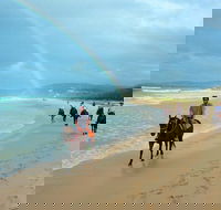 Rainbow Beach Horse Ride - eAccommodation