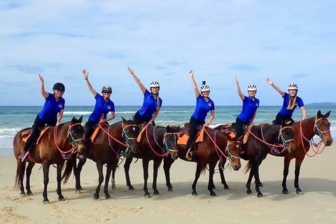 Rainbow Beach Horse Ride - eAccommodation 4