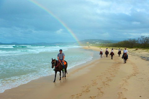 Rainbow Beach Horse Ride - eAccommodation 1