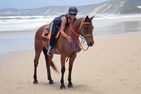 Rainbow Beach Horse Ride - eAccommodation 2