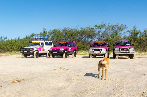 3 Day 4wd Tagalong Tour - Fraser Island - eAccommodation 0