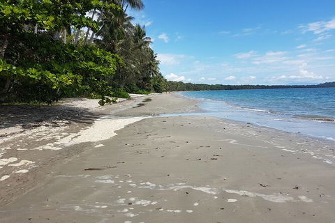 Airport Transfers Between Cairns Airport And Port Douglas - eAccommodation 4
