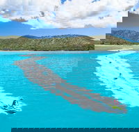 Whitsundays Jet Ski Tour - eAccommodation