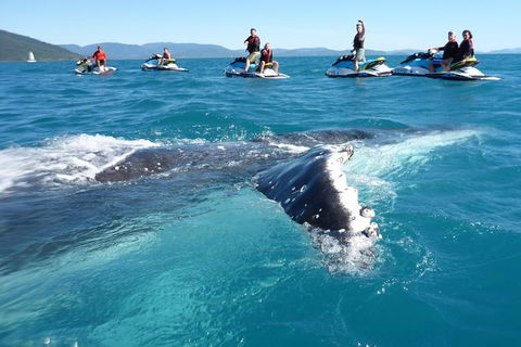 Whitsundays Jet Ski Tour - eAccommodation 20