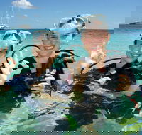 Ocean Spirit Michaelmas Cay Dive and Snorkel Cruise from Palm Cove - eAccommodation