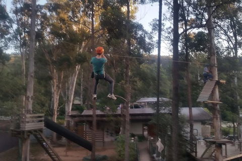 Tamborine Mountain Daily Service, Treetop Challenge And Thunderbird Park - eAccommodation 1