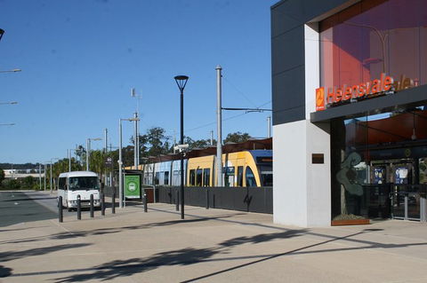 Tamborine Mountain Daily Service, Treetop Challenge And Thunderbird Park - eAccommodation 2