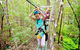 Tamborine Mountain Daily Service, Treetop Challenge And Thunderbird Park - thumb 4
