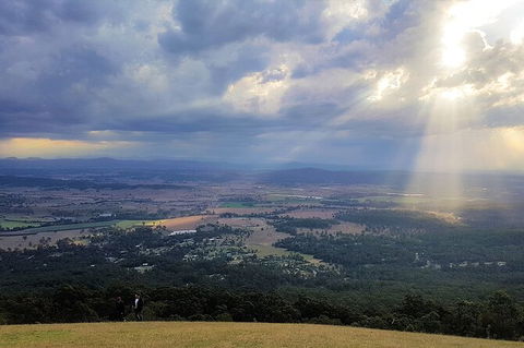 Tamborine Mountain Daily Service, Treetop Challenge And Thunderbird Park - eAccommodation 3