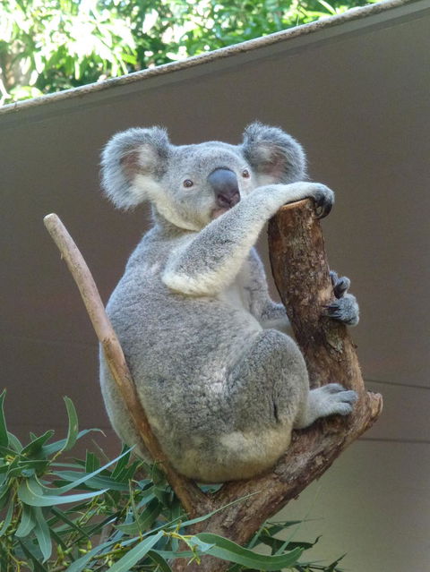 Whitehaven Beach And Hamilton Island Cruise - eAccommodation 6
