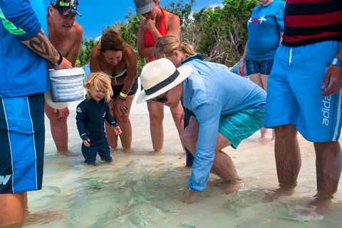 Whitehaven Beach And Hamilton Island Cruise - eAccommodation 1
