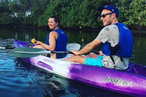 Surfers Paradise Sunset Kayak Tour - eAccommodation 10