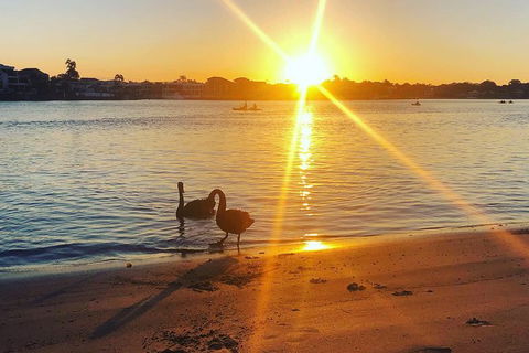 Surfers Paradise Sunset Kayak Tour - eAccommodation 9