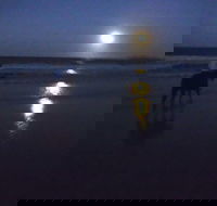 Full Moon Horse Ride at Rainbow Beach - eAccommodation