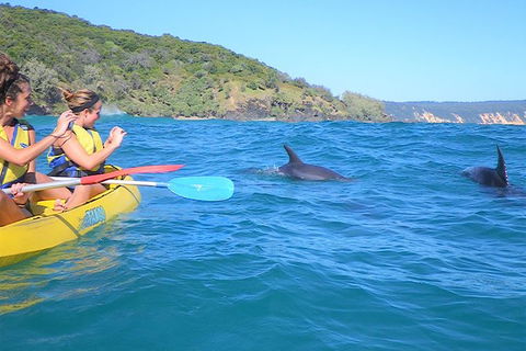 Half-Day Kayak With Dolphins And 4WD Beach Drive From Rainbow Beach - eAccommodation 1