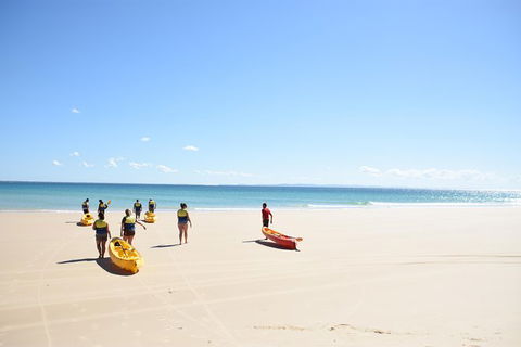Half-Day Kayak With Dolphins And 4WD Beach Drive From Rainbow Beach - eAccommodation 10
