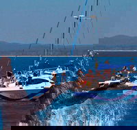 Blue Dolphin Exclusive Whale Watch Encounters - eAccommodation