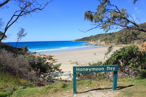 Fraser & Moreton Island 3-Day Scenic 4WD ECO Tour From Brisbane Or Gold Coast - eAccommodation 0