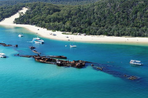All Inclusive Dolphin And Tangalooma Wrecks Cruise Departing Gold Coast - eAccommodation 0