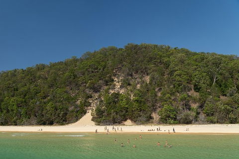 All Inclusive Dolphin And Tangalooma Wrecks Cruise Departing Gold Coast - eAccommodation 3