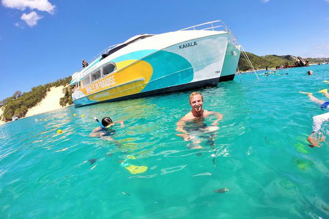 All Inclusive Dolphin And Tangalooma Wrecks Cruise Departing Gold Coast - eAccommodation 2