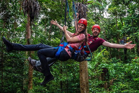 Daintree Atttractions Pass: The Best Of The Daintree In A Day - eAccommodation 1