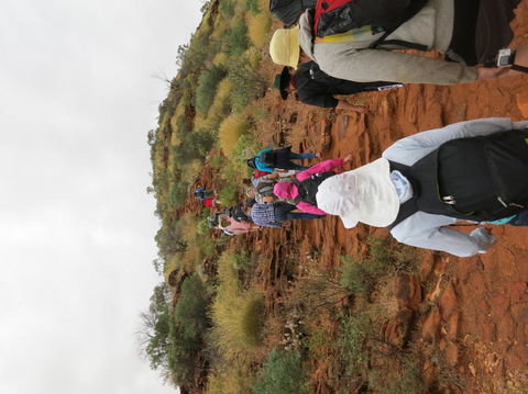 Kings Canyon Day Trip From Ayers Rock - eAccommodation 14
