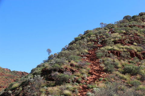 Kings Canyon Day Trip From Ayers Rock - eAccommodation 21