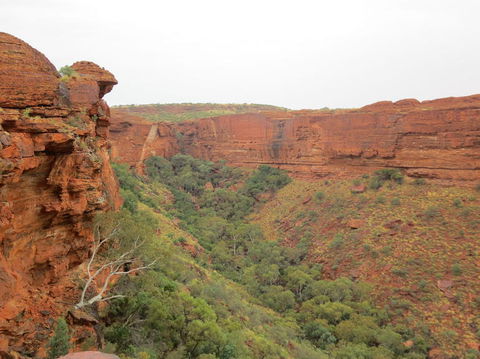 Kings Canyon Day Trip From Ayers Rock - eAccommodation 13
