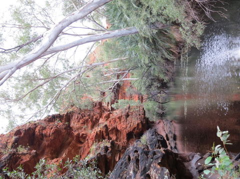 Kings Canyon Day Trip From Ayers Rock - eAccommodation 11