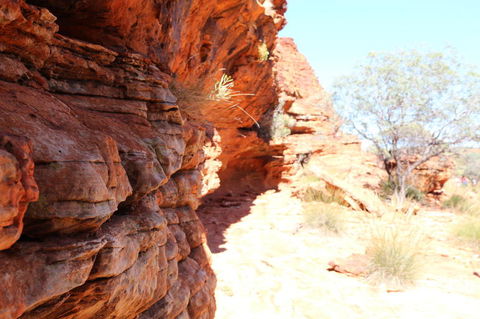 Kings Canyon Day Trip From Ayers Rock - eAccommodation 20