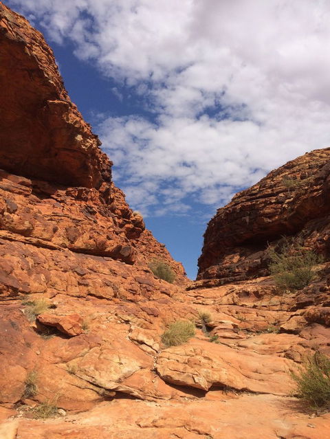Kings Canyon Day Trip From Ayers Rock - eAccommodation 25
