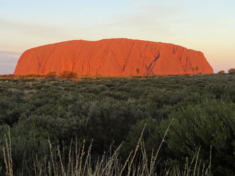 Uluru (Ayers Rock) Sunset With Outback Barbecue Dinner And Star Tour - eAccommodation 5