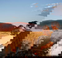 Uluru Ayers Rock Sunset with Outback Barbecue Dinner and Star Tour - eAccommodation
